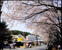 大田大学校